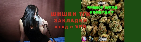 первитин Богданович